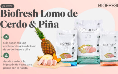 Evento lanzamiento Lomo y Piña
